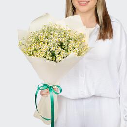 Novatorskaya Soyuzcvettorg