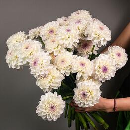 Adorable flowers