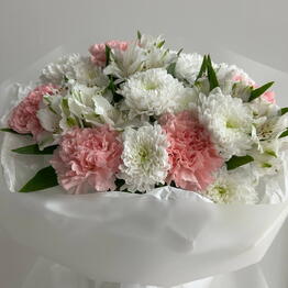 Florteria