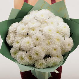 Floravud