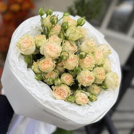 Vesna Flowers