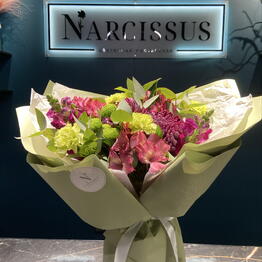 NARCISSUS