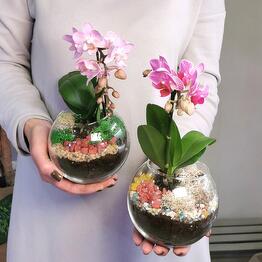 Flora-Glass