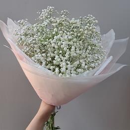 Lily's Flowers