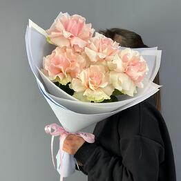 5 delicate pink French roses