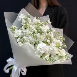 Bouquet of white fragrant mattiola (mb 149)