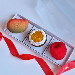 Choko fox spb 