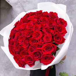 Spbbear