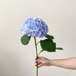 Mono Flowers