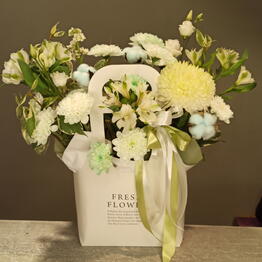 Fiore Lily spb