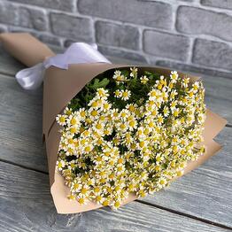 Flower shop