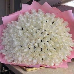 101 rosas blancas por paquete