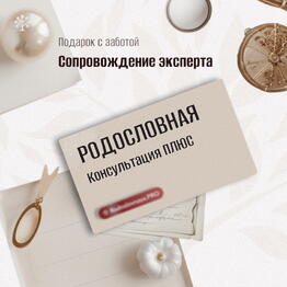 🌸 Подарок с глубиной и смыслом 🎁 Сертификат «Консультация ПЛЮС»