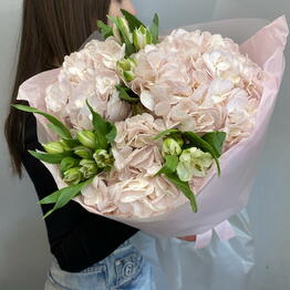 FLOREVE