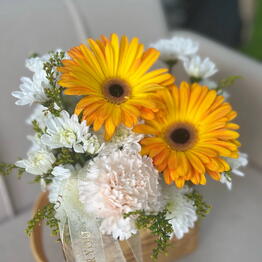 Bambini Flowers