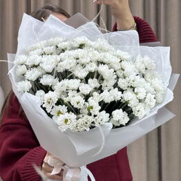 Sokol Flower