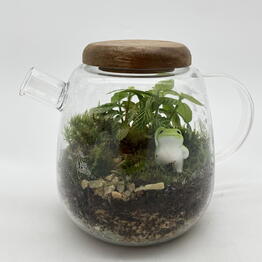 plants.nsk&kashpo_gorshok
