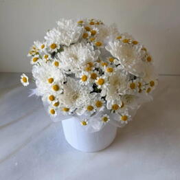 Helly Flowers