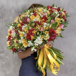 AMS flowers shop