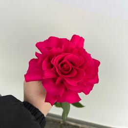 Диflowers