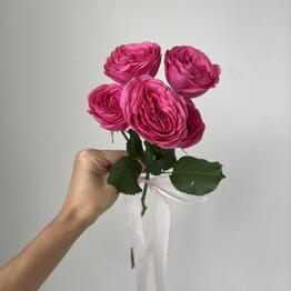 Balance flowers