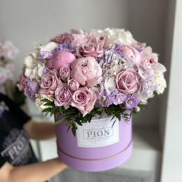 Pion Art And Flowers