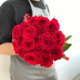 РозРозыч Фучика