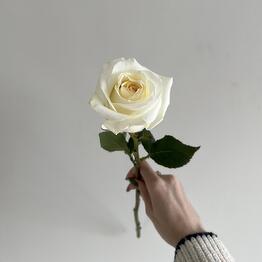 Flower Fetish