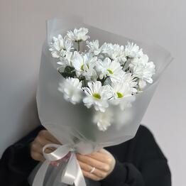 Цветы на Бульваре