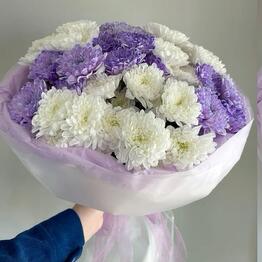 Viol botanical 