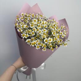 ПАСТИЛА