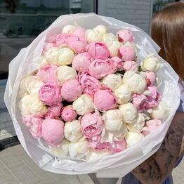 Микс из 51 пиона