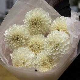 MIUIFLOWERS