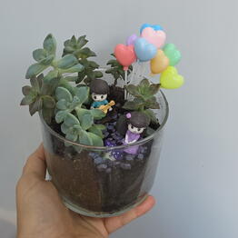 Amma Flowers