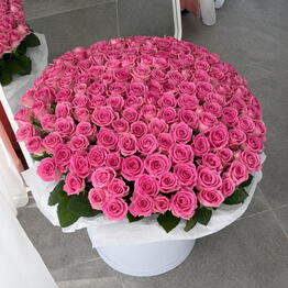 Bloomia
