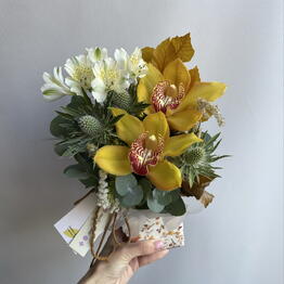 MELLOW YELLOW 
