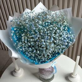 Buket.Murino