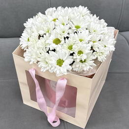 PINKO flowers