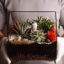 Florarium