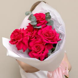 AMOUR х Studencheskay