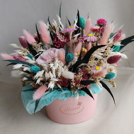 NEW_FLORISTICS