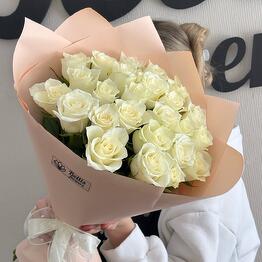Bellis Flowers