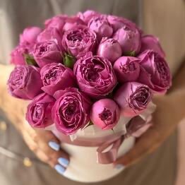 P’ionova flowers