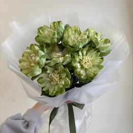 FLORELYA