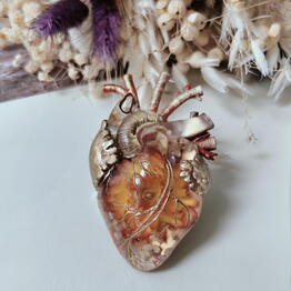  Северная сова