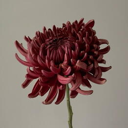 Flower boutique