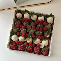 Chokobar | chocolate and berry