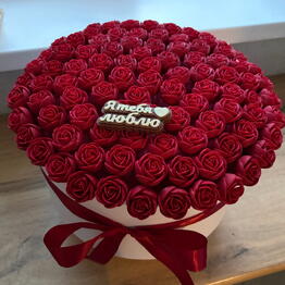 Choko mir