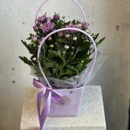 MaVa Flowers