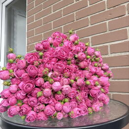 La fleur Royal